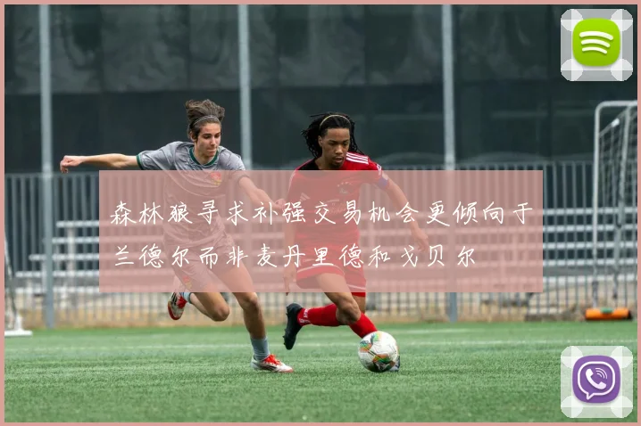 森林狼寻求补强交易机会更倾向于兰德尔而非麦丹里德和戈贝尔
